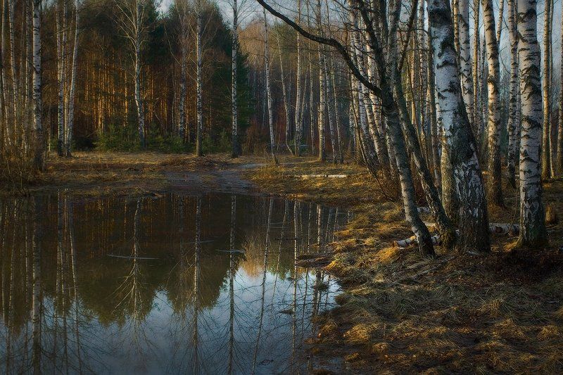 Весна. фото превью