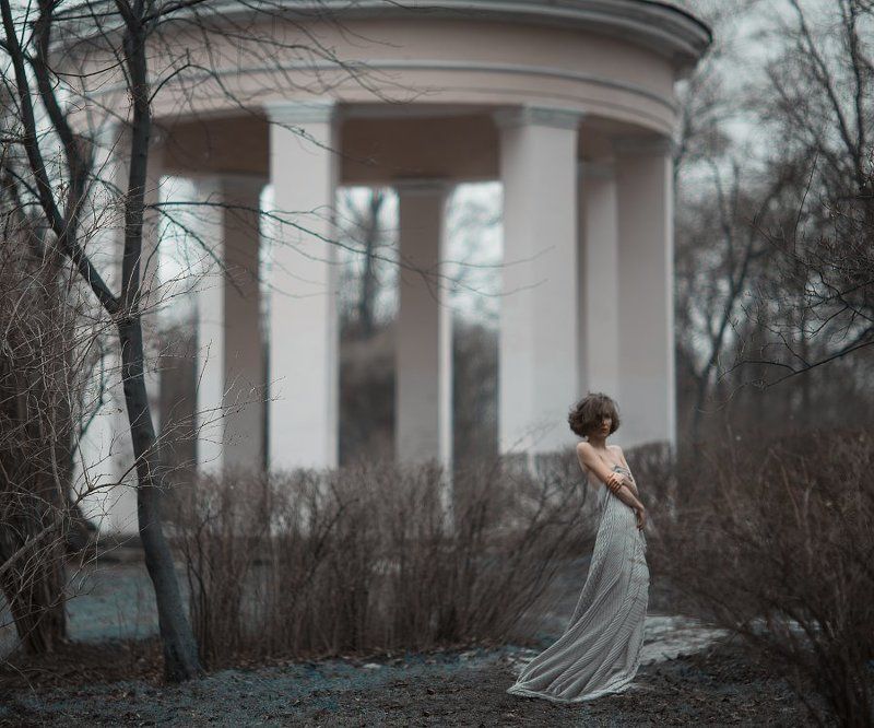 symphony фото превью