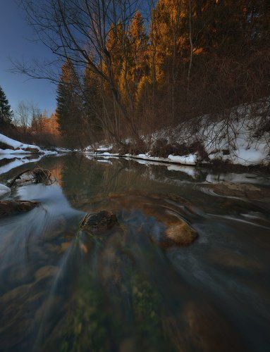 Клевое место под весенними лучами уходящего солнца