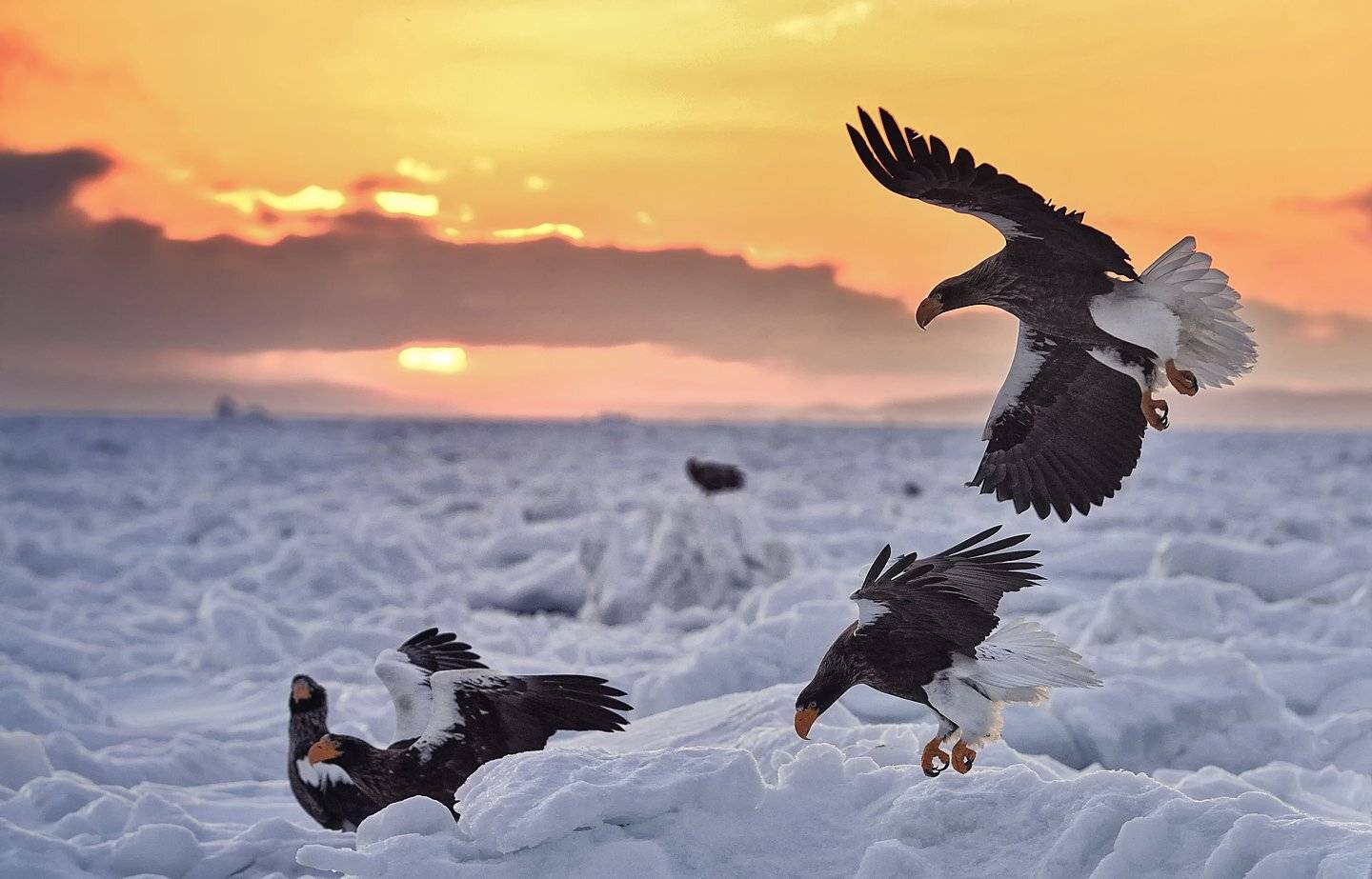 Sunrise, KIM SUK EUN