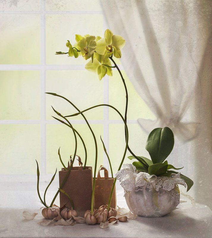 .... Тяга к прекрасному... фото превью