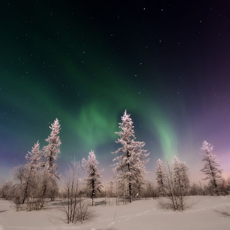 Сказка севера фото превью