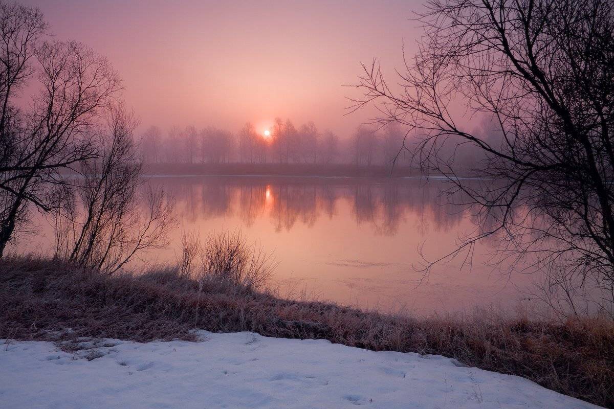 , Николай Морский