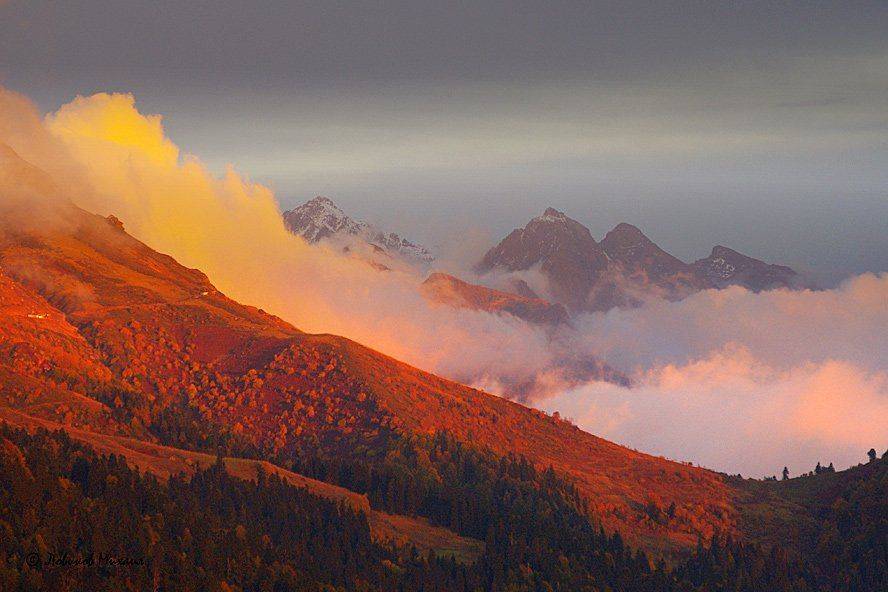 , Ловиков Михаил