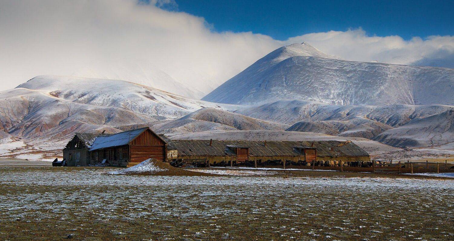 Morning, Mountains, Sky, Горы, Дом, Животные, Небо, Облака, Пейзаж, holod