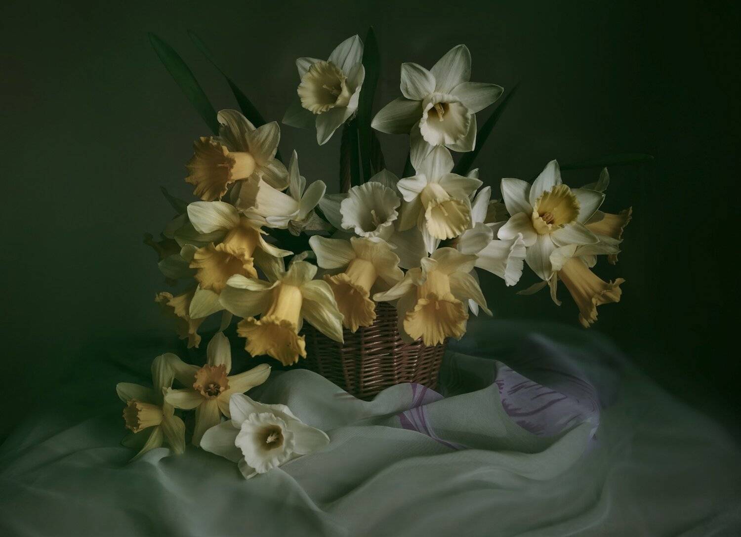 Букет нарцисс, Весна, Натюрморт, Праздник, Вера Павлухина