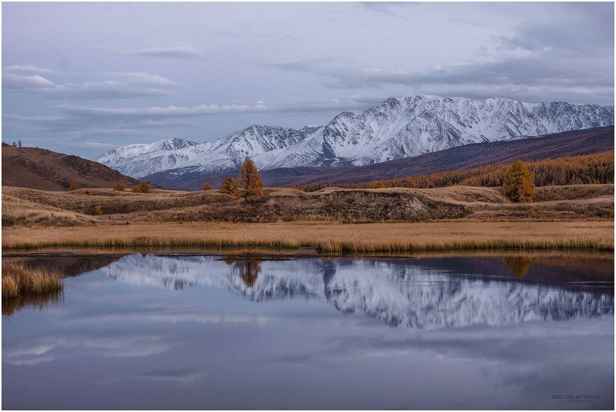 Алтай, Горы, Джангысколь, Закат, Золотая осень, Курайская степь, Лиственницы, Осень, Отражения, Снег, Снегжные горы., Кутыгин Эдуард
