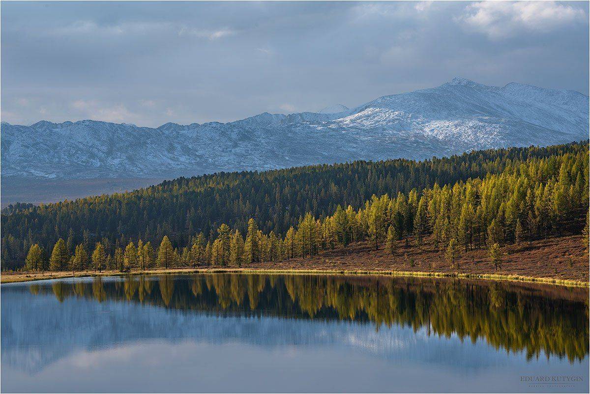Алтай, Горы, Золотая осень, Кеделю, Киделю, Ледники, Лиственница, Осень, Отражения, Снег, Снегжные горы., Улаганское нагорье, Кутыгин Эдуард