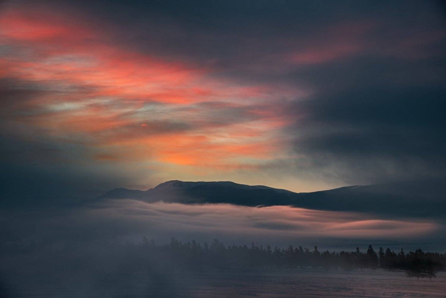 Алтай, Большой, Восход, Высокий, Горы, Красивая, Красный, Лес, Лесстепь, Небо, Оранжевый, Пейзаж, Природа, Раннее, Рассвет, Сибирь, Синий, Туман, Утро, Холодный, Дмитрий Антипов