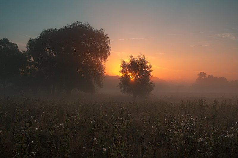 Осколки прошлой осени фото превью