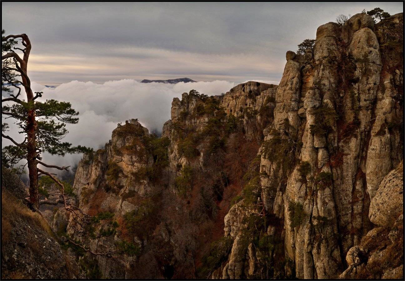 , Владимир Метцгер