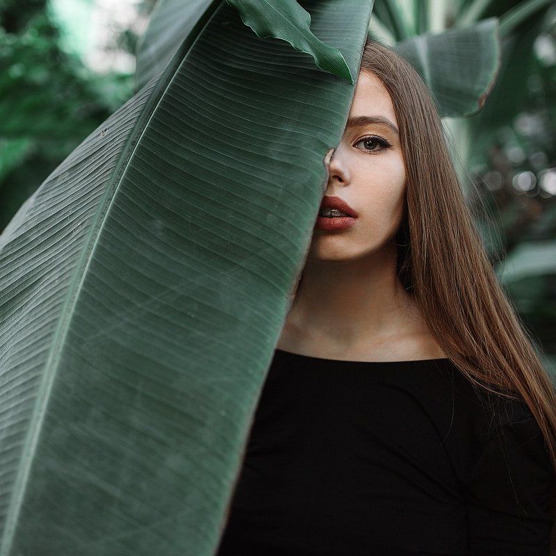 . фото превью