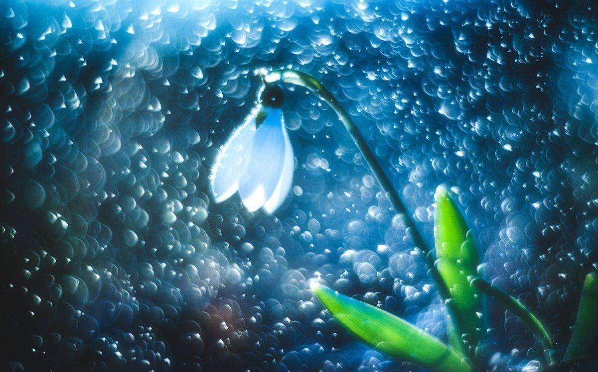 , Татьяна Аверина