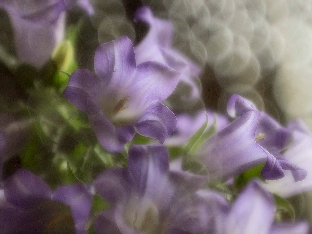 , Марина Брыдня