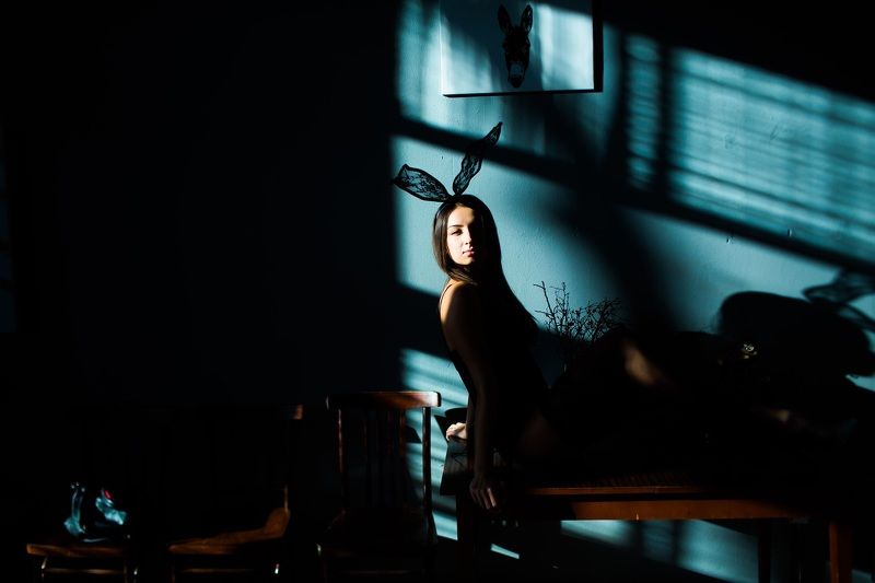 Зайка фото превью