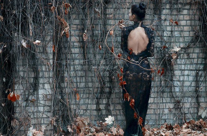 Вьюнок фото превью