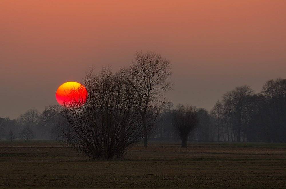 , Pawel Plucinski