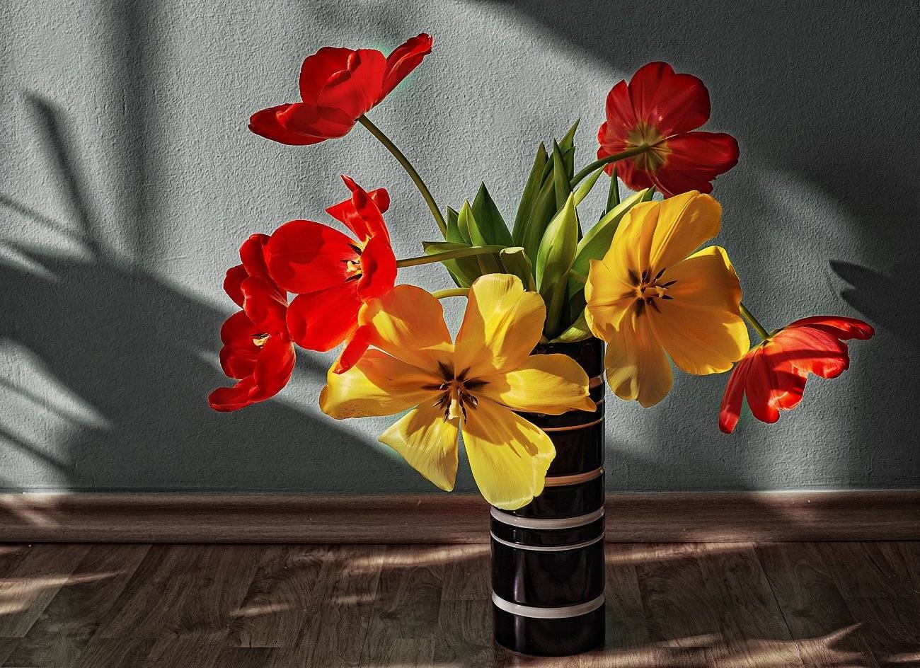 Качурин алексей, Оренбургская область, Орск, Тюльпаны, Качурин Алексей