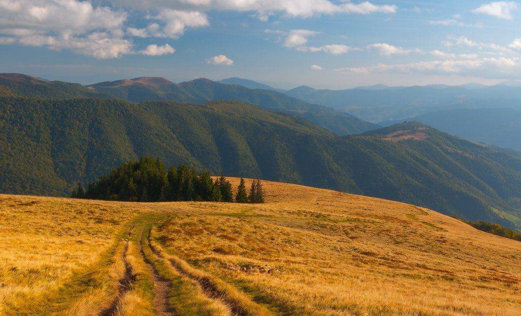 , Ярослав Тюрменко (Jaremi)