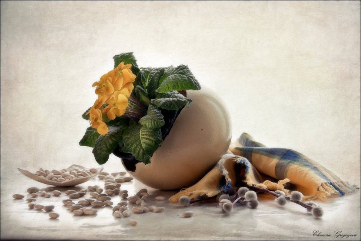 Верба, Весна, Натюрморт, Первоцвет, Рождение, Скорлупа, Страусиное яйцо, Фасоль, Eleonora Grigorjeva