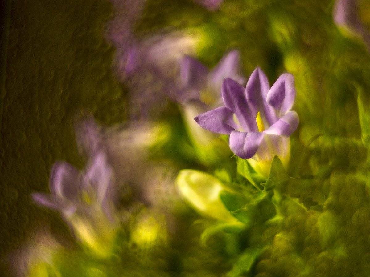 , Марина Брыдня