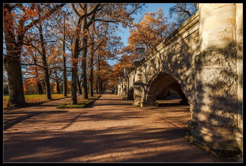 екатерининский парк, осень, пушкин, село, царское, царское село про теплую осень в Царском Селе фото превью