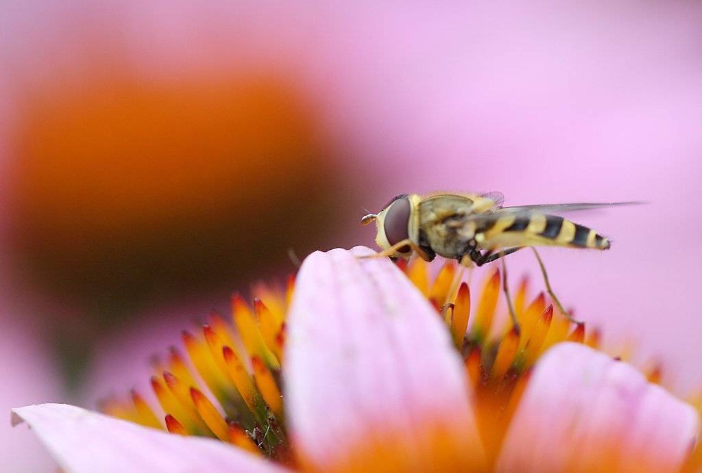 , Сергей Таланов