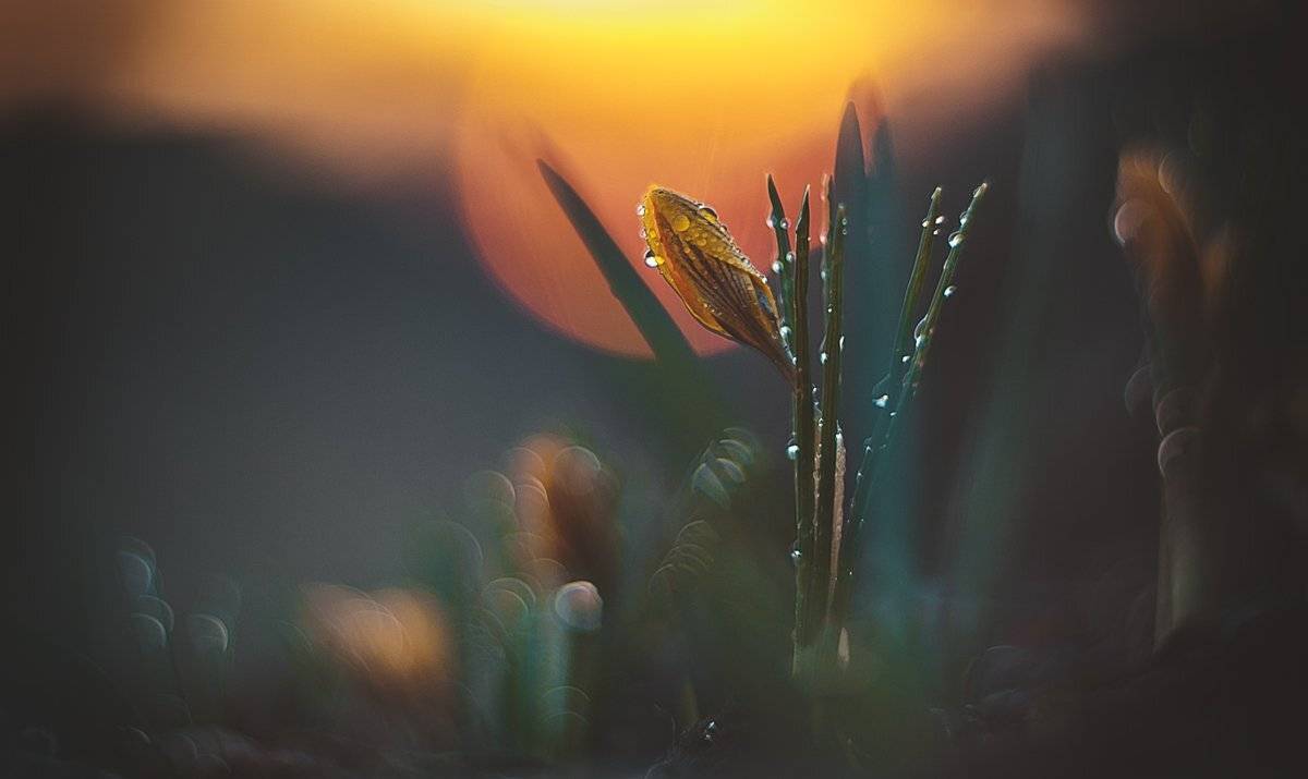 , Татьяна Аверина