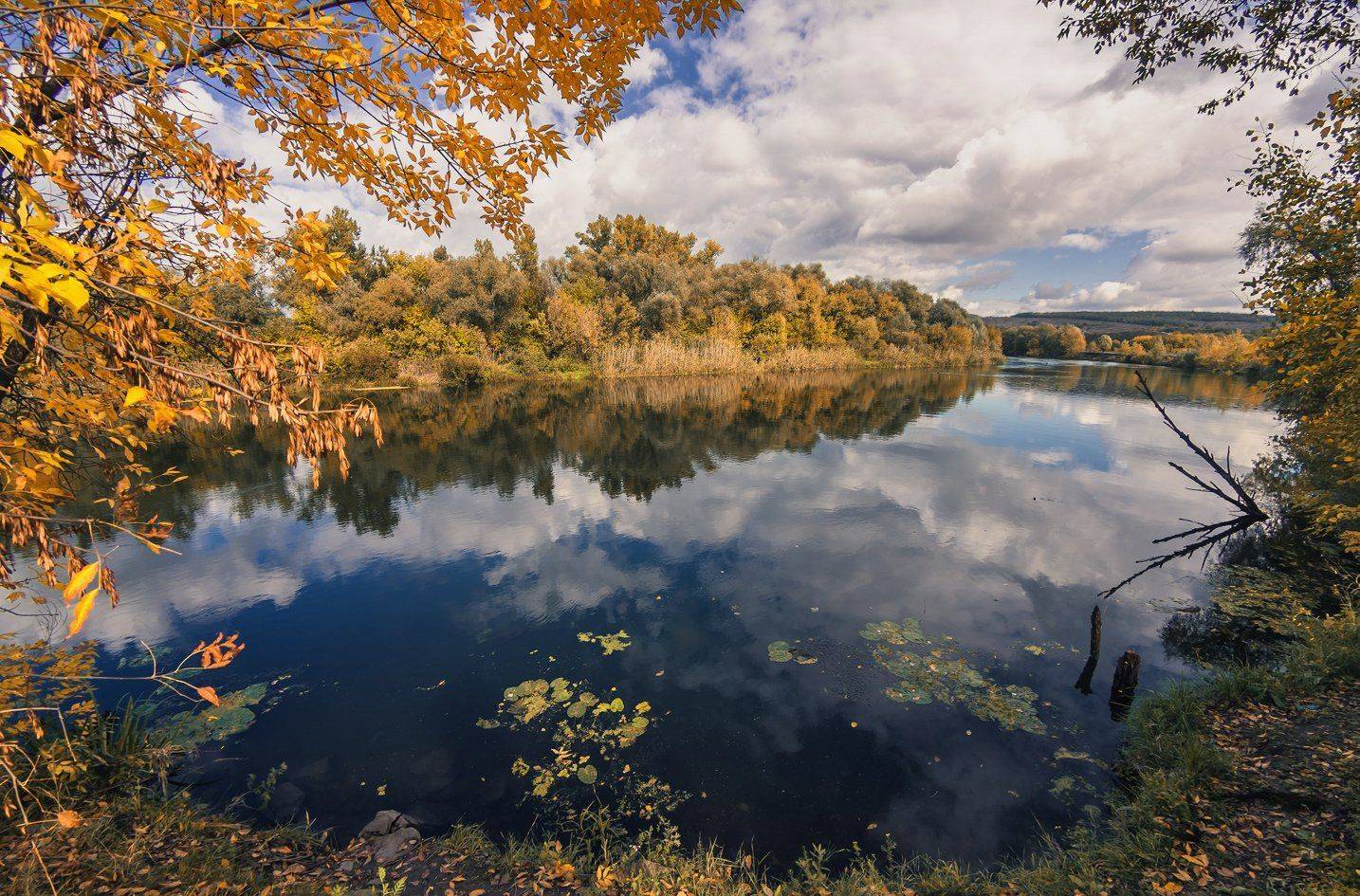 , Игорь Мелекесцев