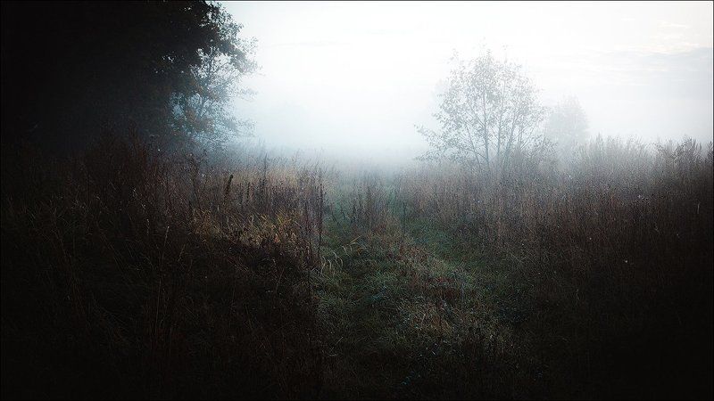 пейзаж, рассвет, россия, псков, природа, туман, свет, цвет Дух русской глубинки фото превью