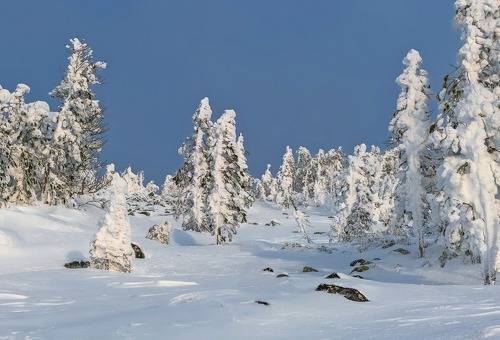 На вершине горы