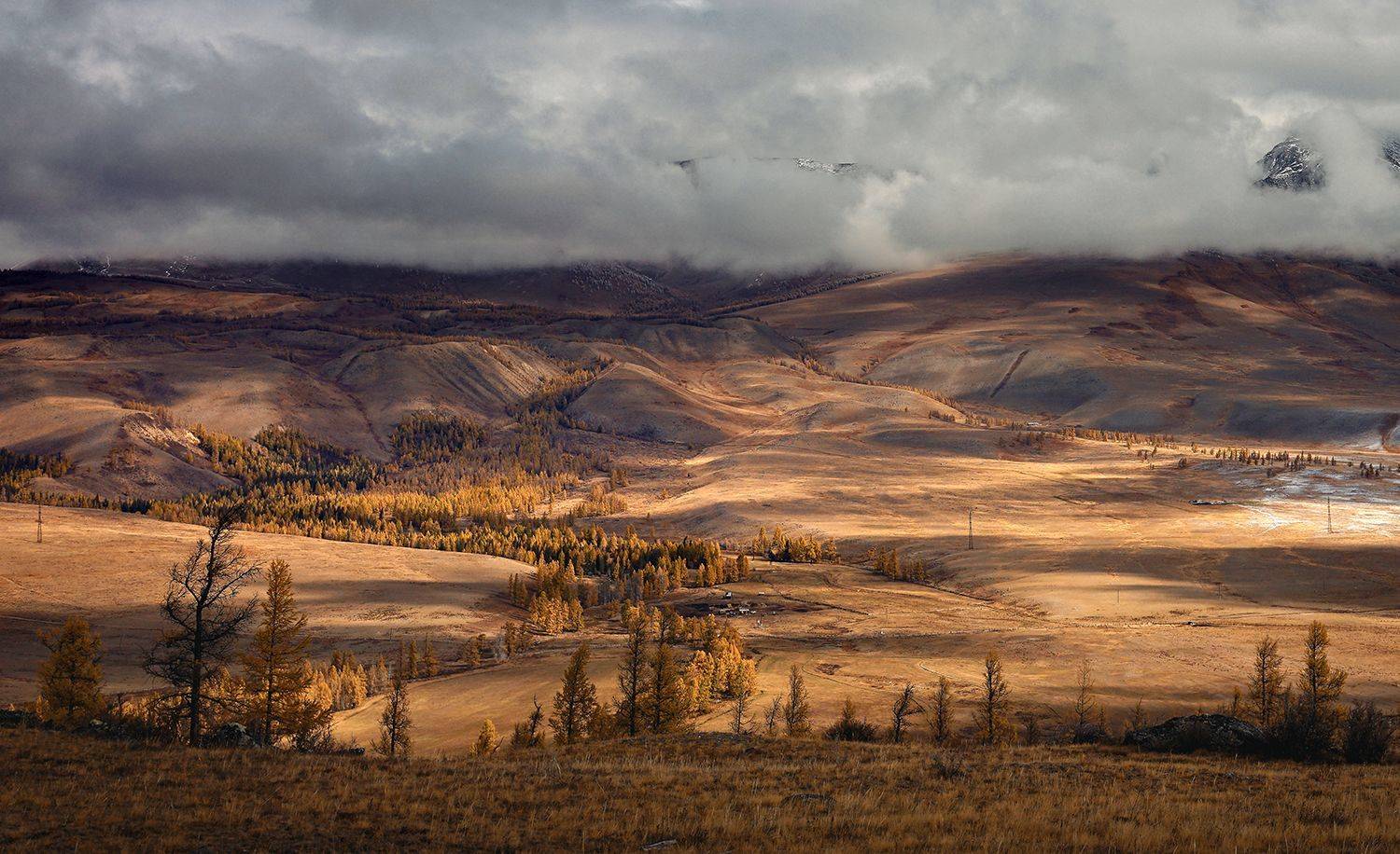 , Алексей Родак