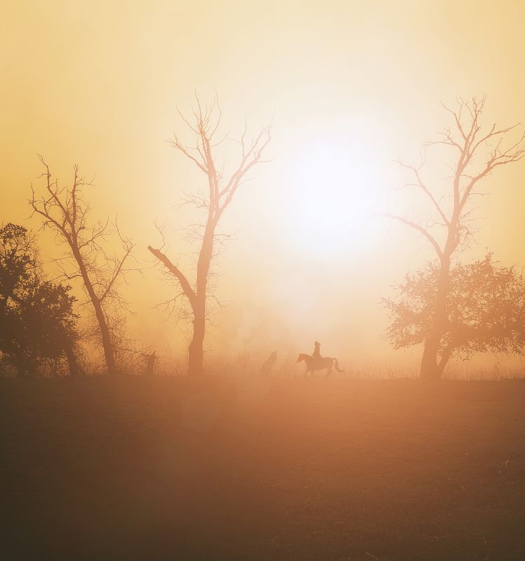 рассвет,природа,лошадь,прогулка Степные рассветы фото превью