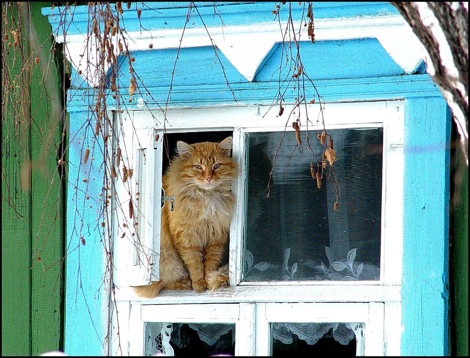 , Меднов Влад