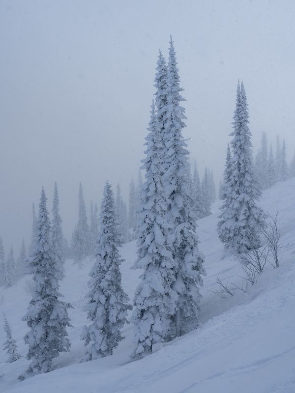 Снежный рай… Snow paradise... фото превью