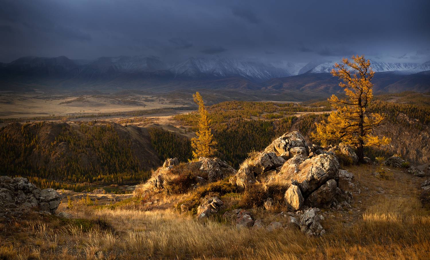 россия, алтай, осень, Потапов Сергей