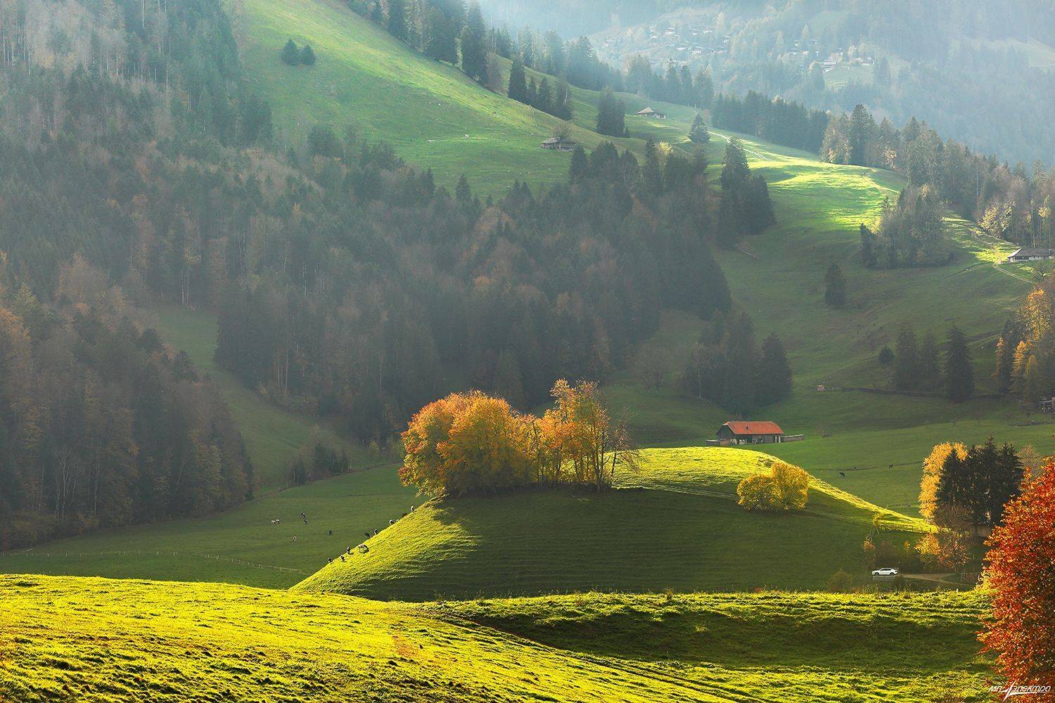 swiss, Матвеев Николай