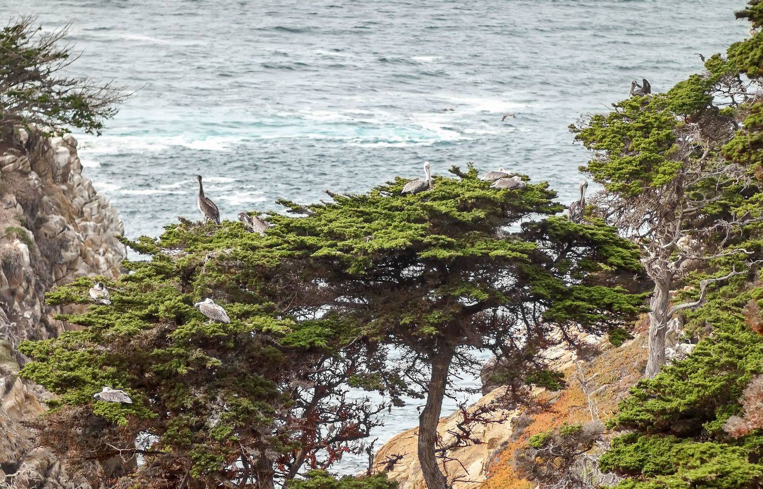 North California, Lilia Tkachenko