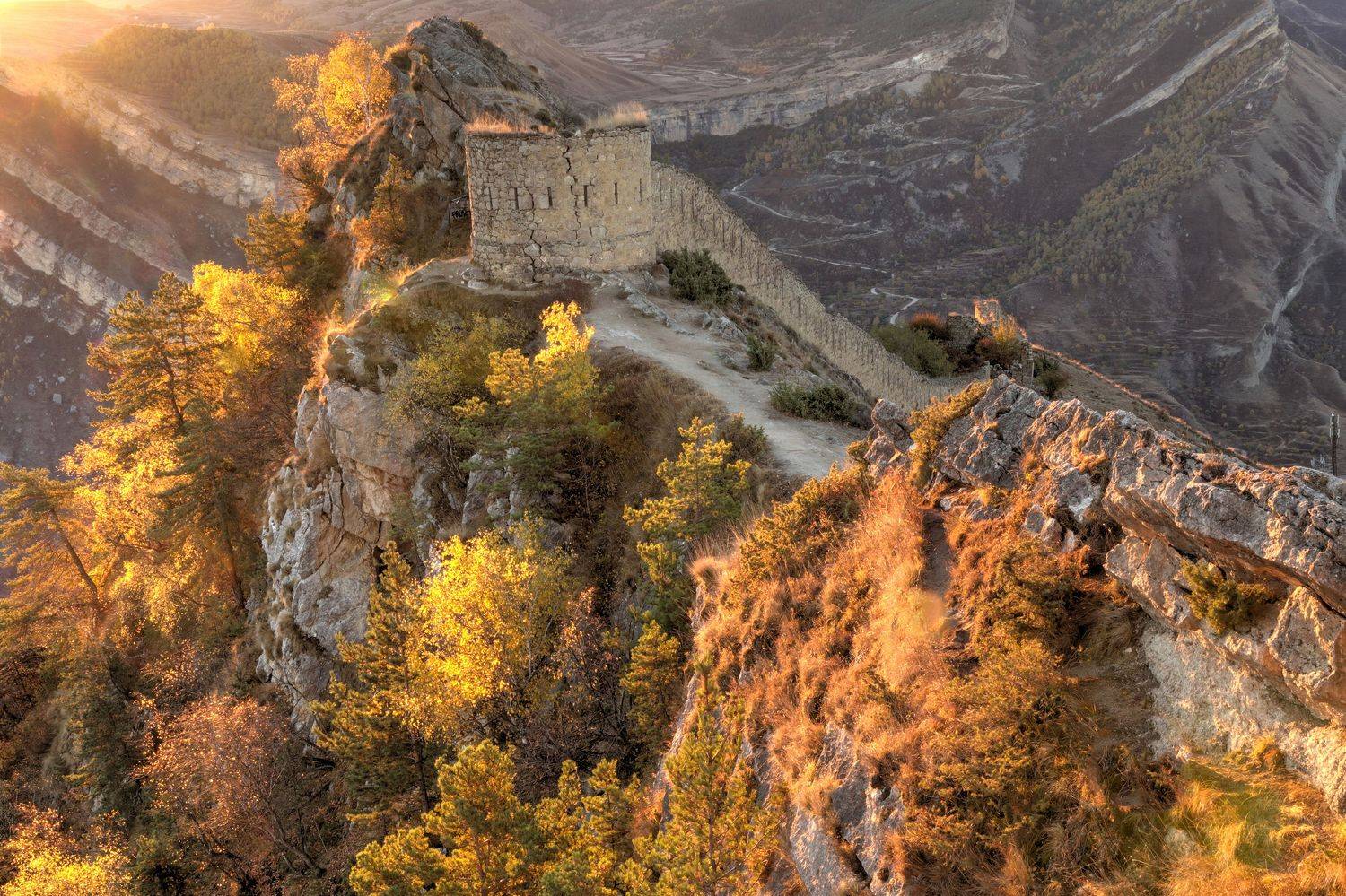 , Добролюбова Тамара