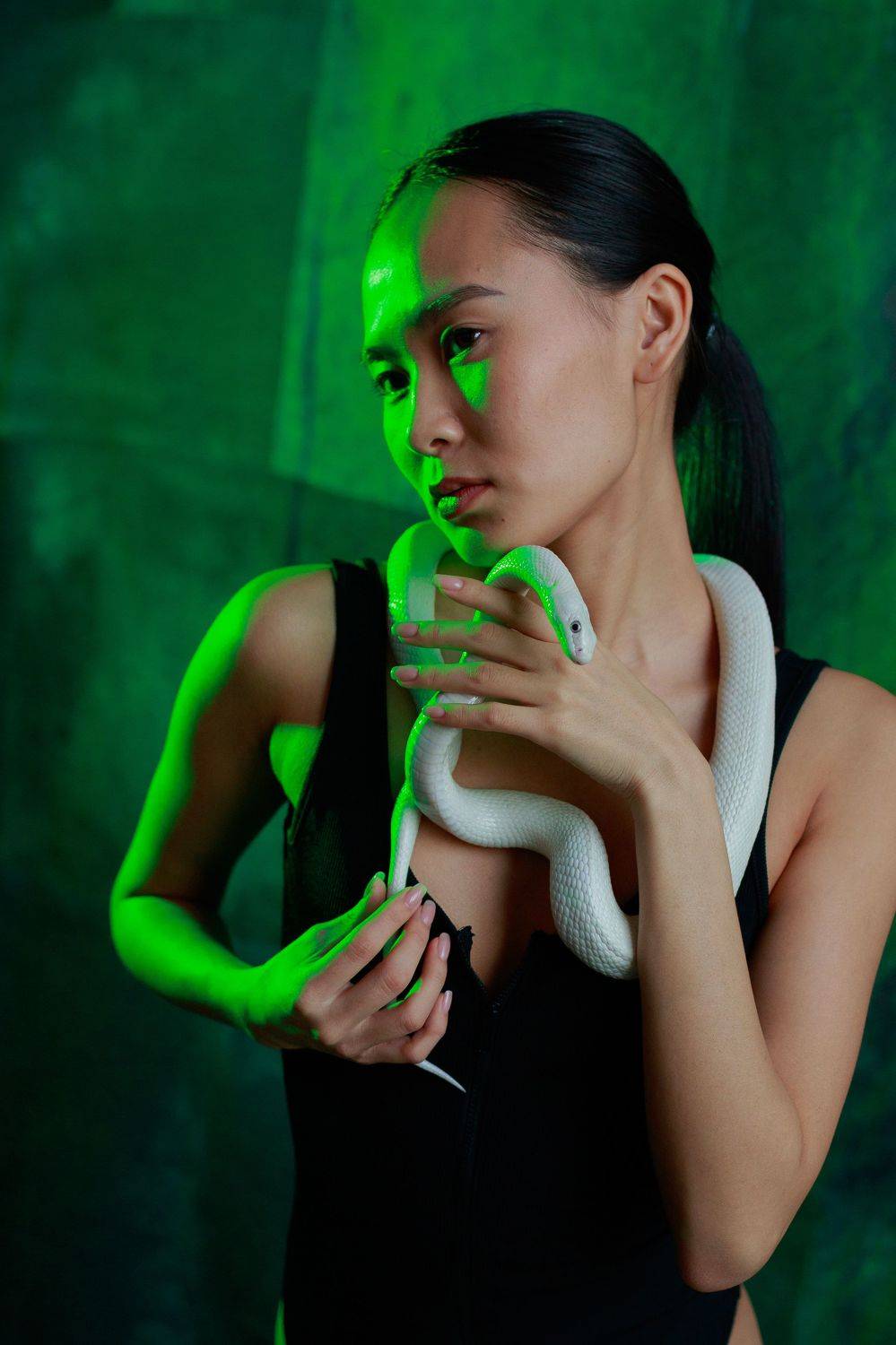 , Владимир Ашкинази-Исаченко