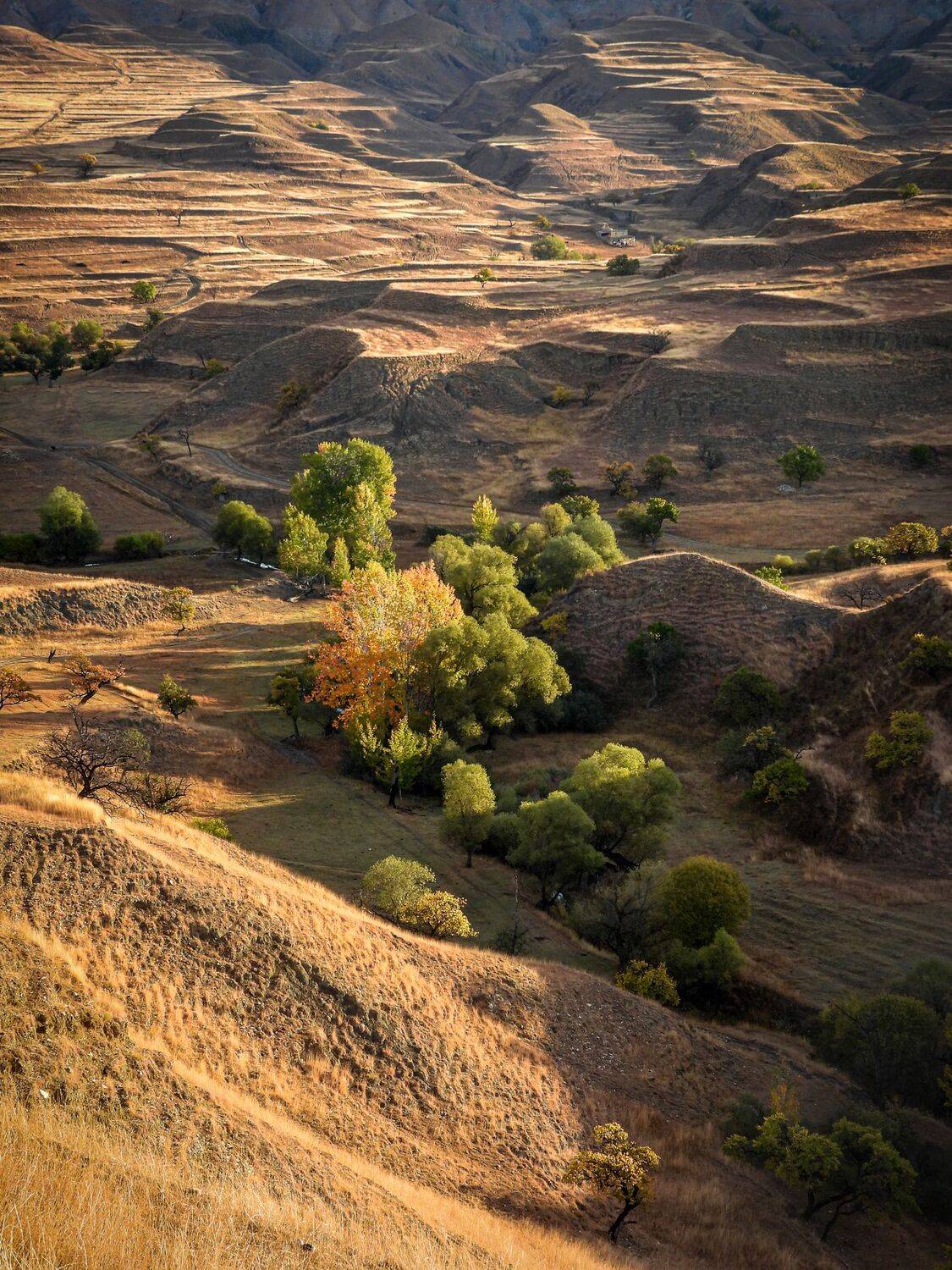 Дагестан, горы, Кавказ, Лесина Елена