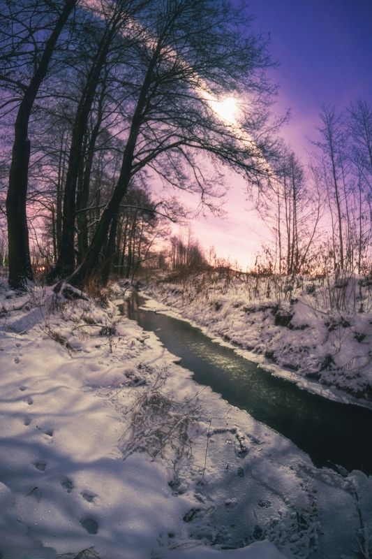 У водопоя фото превью