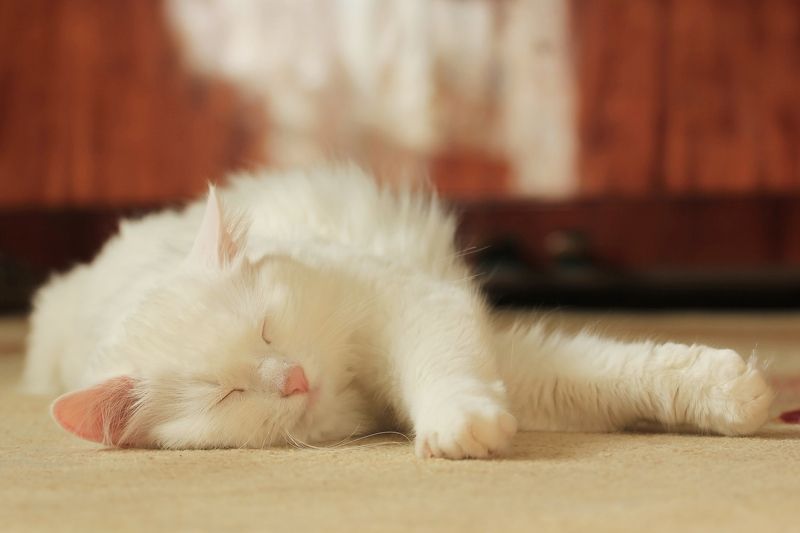 Ма.. фото превью