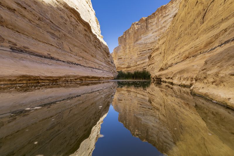 desert фото превью
