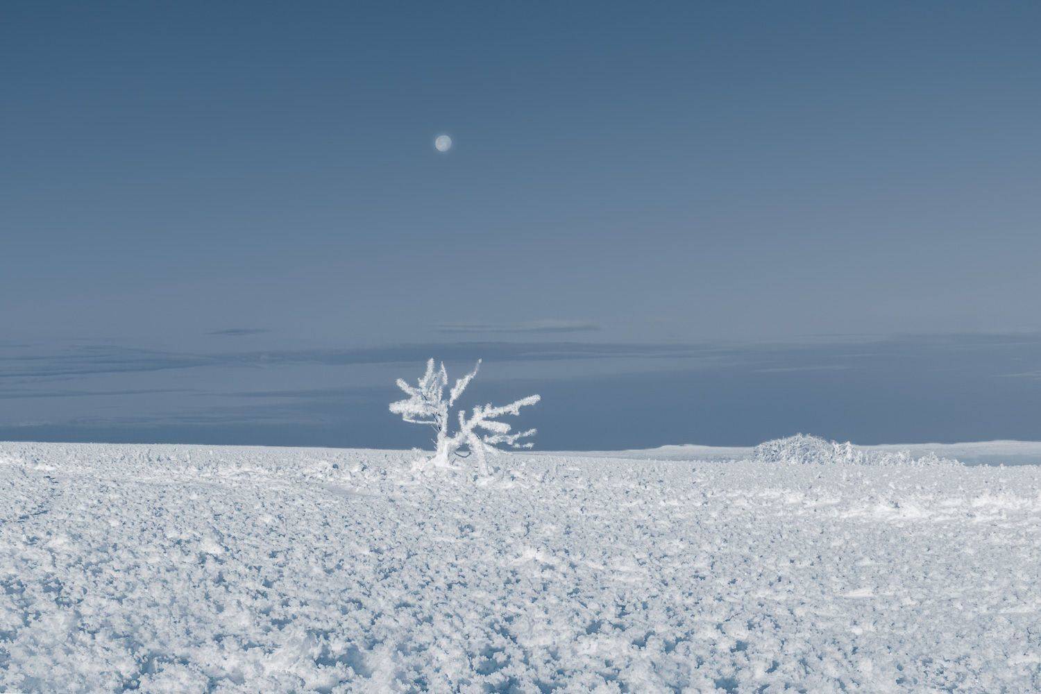 , Алиева Татьяна