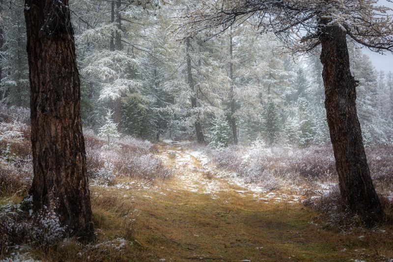 **** фото превью