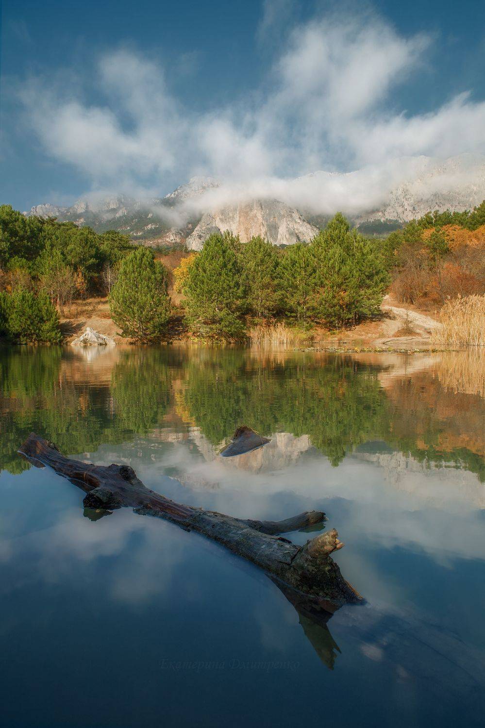 , Дмитренко Екатерина