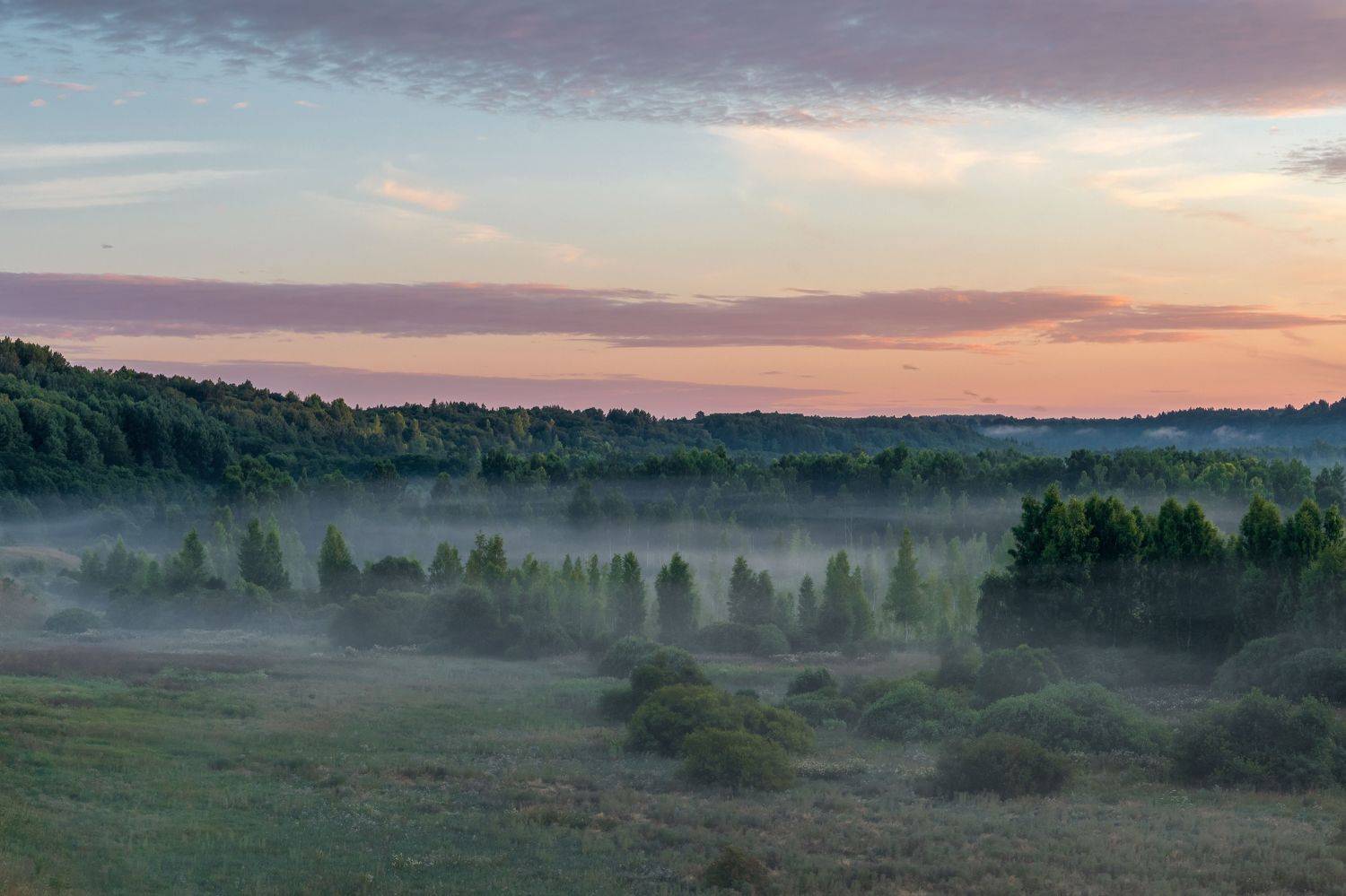 , Виктор Желенговский
