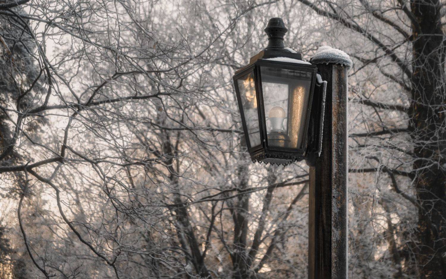 , Олег Дунаев