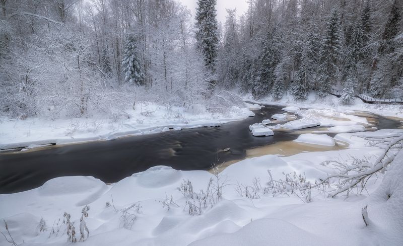 река зима декабрь снег мороз лед ель холод иней туман Снежный плен фото превью